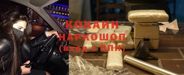ECSTASY Горняк