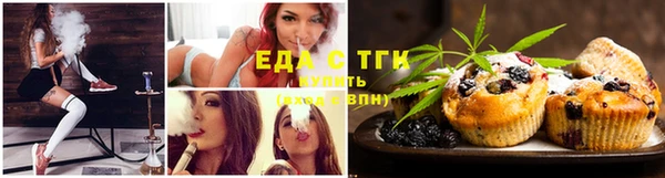 стаф Вяземский