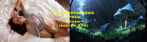 бошки Горно-Алтайск