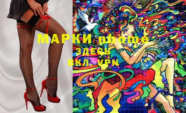 ECSTASY Горняк