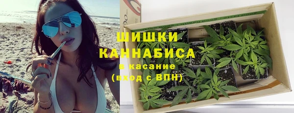 стаф Вяземский